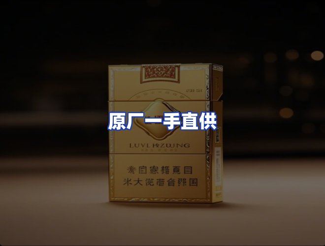 专业团队